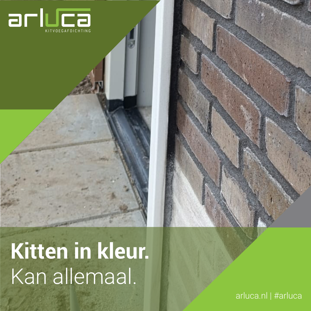 Arluca kitten in kleur langs de gevel